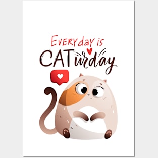 Funny Sayings From A Cat Cool Posters and Art